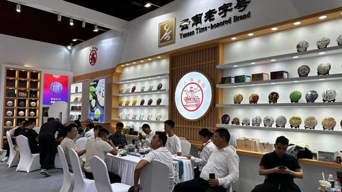 廣州秋季茶博會首日盛況 云南云墾茶業展位人氣爆棚，展覽服務亮點紛呈